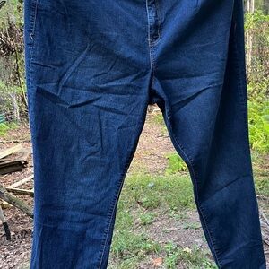 Torrid Denim Blue Jeans